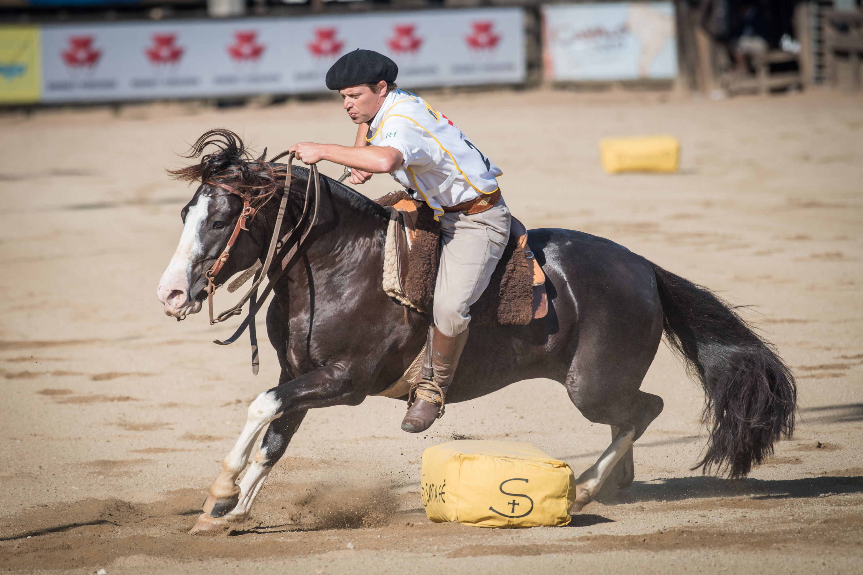 Cavalo Ferro Martinez - JoyMimos