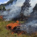 A tarde de terça-feira (24) foi marcada foi marcada por um incêndio em vegetação de grandes proporções em uma empresa localizada na estrada Robledo Braz, no KM 5.  De acordo com informações de moradores da região, as chamas teriam iniciado por volta do meio dia e rapidamente teria se alastrado chegando próximo as residências localizadas na região. Não há informações do que teria causado o inicio do incêndio.  Uma verdadeira foça tarefa foi formada pelos moradores até chegada do Corpo de Bombeiros, que buscaram auxiliar na contenção nas chamas. 