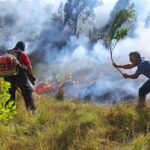 A tarde de terça-feira (24) foi marcada foi marcada por um incêndio em vegetação de grandes proporções em uma empresa localizada na estrada Robledo Braz, no KM 5.  De acordo com informações de moradores da região, as chamas teriam iniciado por volta do meio dia e rapidamente teria se alastrado chegando próximo as residências localizadas na região. Não há informações do que teria causado o inicio do incêndio.  Uma verdadeira foça tarefa foi formada pelos moradores até chegada do Corpo de Bombeiros, que buscaram auxiliar na contenção nas chamas. 