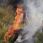 A tarde de terça-feira (24) foi marcada foi marcada por um incêndio em vegetação de grandes proporções em uma empresa localizada na estrada Robledo Braz, no KM 5.  De acordo com informações de moradores da região, as chamas teriam iniciado por volta do meio dia e rapidamente teria se alastrado chegando próximo as residências localizadas na região. Não há informações do que teria causado o inicio do incêndio.  Uma verdadeira foça tarefa foi formada pelos moradores até chegada do Corpo de Bombeiros, que buscaram auxiliar na contenção nas chamas. 