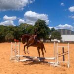 APRESENTAÇÃO DE MILITARES No dia 6 de fevereiro de 2023, apresentaram-se no 7º Regimento de Cavalaria Mecanizado, “Regimento Brigadeiro Vasco Alves Pereira”, ”, a 3º Sargento de Saúde Natiele Gutierres Fernandez, oriunda do Hospital de Guarnição de Santiago, "Hospital General Médico Epaminondas de Albuquerque Filho", sediado em Santiago – RS e os 3º Sargentos de Cavalaria Natã De Sousa Machado, Sérgio Henrique Coelho De Oliveira e Vítor Moreira Da Conceição, recém egressos da Escola de Sargentos das Armas (ESA), localizada na cidade de Três Corações – MG. Na oportunidade, o Comandante do Regimento, Sr. Tenente-Coronel Rafael Polinício Lanza Braga, parabenizou, em nome dos demais militares, por suas escolhas em servir no “Sétimo de Cavalaria”. A Sargento Gutierres fará parte do Posto Médico da Guarnição de Santana do Livramento e os Sargentos Machado, Sérgio e Da Conceição, assumirão as funções de Comandantes de Grupo de Combate em suas respectivas Subunidades. Após a apresentação formal os Sargentos recém egressos da ESA cumpriram uma pequena missão de reconhecimento dentro do perímetro da OM, onde participaram de diversas oficinas, tais como: Cross Operacional, Transposição de Curso D’água, Marcha, Orientação e Equitação tudo coordenado por militares do Regimento. “7º RC Mec – 100 anos de ocupação do Cerro do Depósito” (1923-2023)